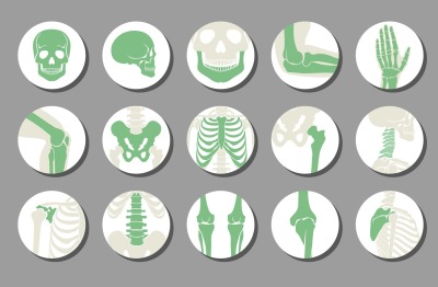 Orthopedic and spine vector icons