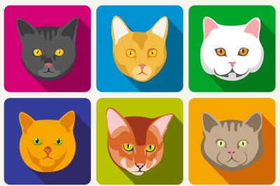 Cat portraits vector collection