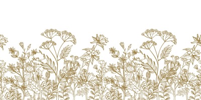 Seamless vector floral border with black white hand drawn herbs and wi