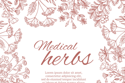 Vintage decorative background with medicinal organic healing plants