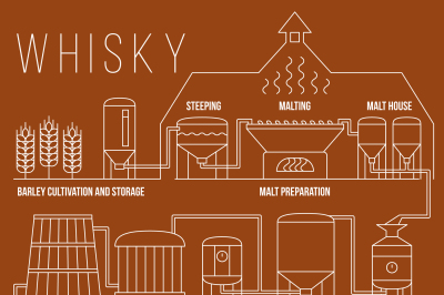 Whiskey production process vector infographic template