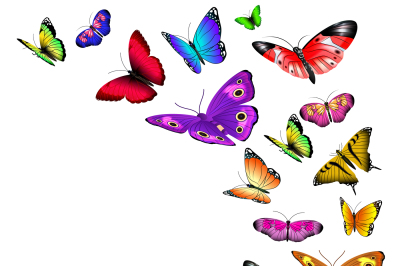 Vector background with flying butterflies