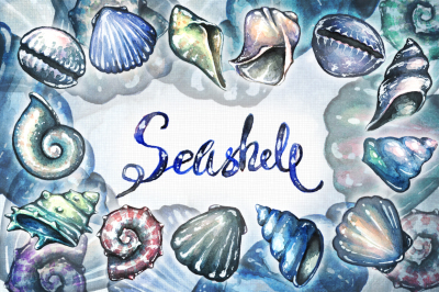 Watercolor hand drawn bundle: seashells