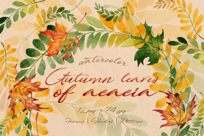 Autumn leaves of acacia PNG watercolor set