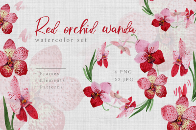 Watercolor red orchid wanda PNG set