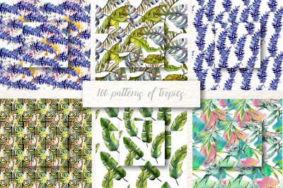 100 patterns of tropics JPG watercolor set