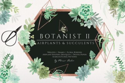 Botanist II - Airplants &amp; Succulents Greenery Florals