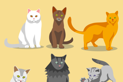 Cute vector cats with different colored fur and markings