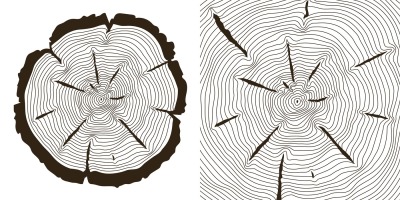 Tree growth rings, saw trunk cuts vector illustration