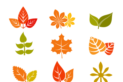 Multicolor autumn leaves flat vector icons. Fall feuille leaf collecti