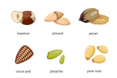 Seeds and nuts vector icons in cartoon style