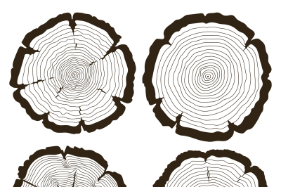 Vector tree rings and saw cut trunk set