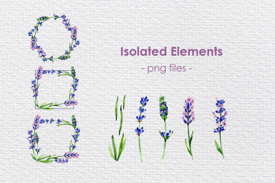 Holiday purple lavender flowers PNG watercolor set