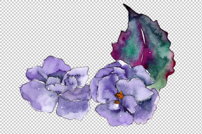 Watercolor gardenia wildflower PNG set