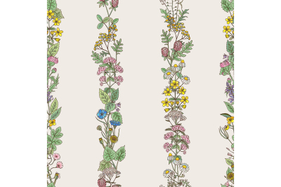 Seamless pattern of tracery of hand drawn herbs and field flowers