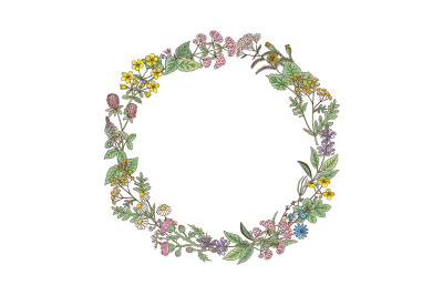 Wreath from hand drawn herbs and flowers