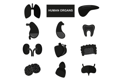 Silhouettes of human organs on white background