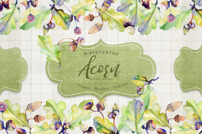 Forest acorn PNG watercolor set &nbsp;