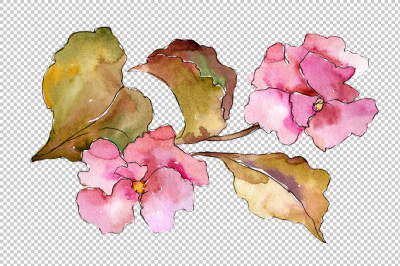 Tropical pink gardenia PNG watercolor flower set