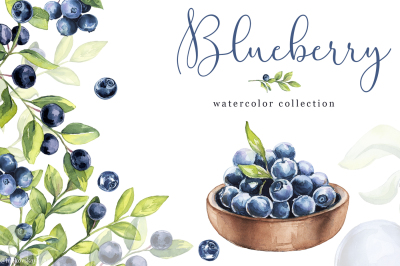Watercolor Clipart - Blueberry