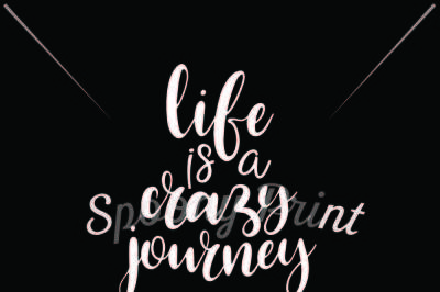 life is a crazy journey