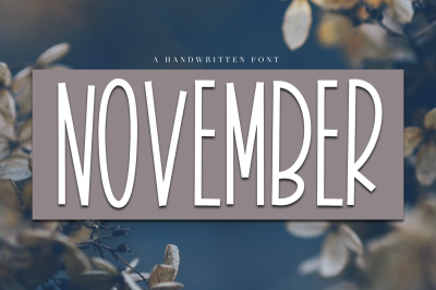 November - A Tall Handwritten Font