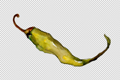 Green and yellow pepper vegetables PNG watercolor set &nbsp;