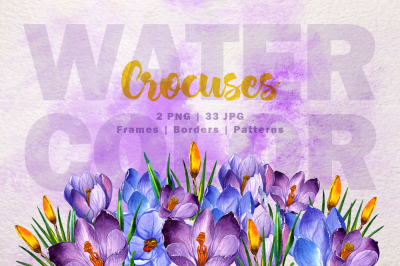 Blue and purple crocuses PNG watercolor set