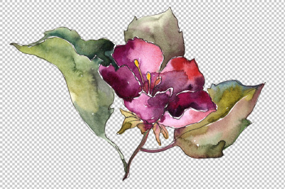 Pink and blue gardenia flowers PNG watercolor set &nbsp;