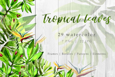 Tropical leaves PNG watercolor set