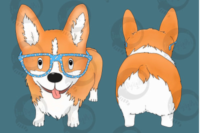 Corgi Dog with Glasses | Front and Rear view | PNG/JPEG