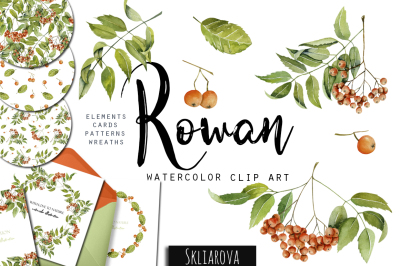 Rowan tree. Watercolor clip art.