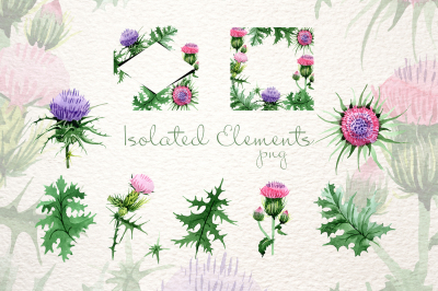 Cool Thistle PNG watercolor set