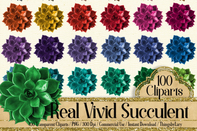 100 Real Vivid Succulent Clip Arts, Botanical Kit Garden