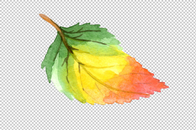 Colorful autumn leaves watercolor png set