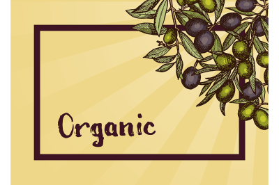 Vector frame with place for text and hand drawn olive branches