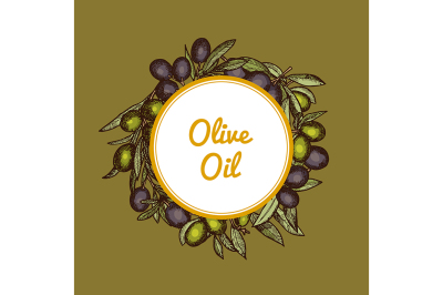 Vector hand drawn olive branches with place for text