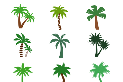 Color palm trees vector silhouettes