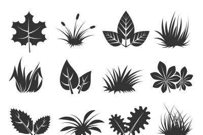 Leaves and grass vector icons