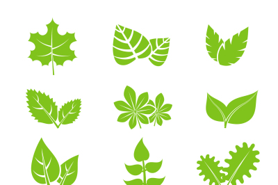 Green leaves vector icons set