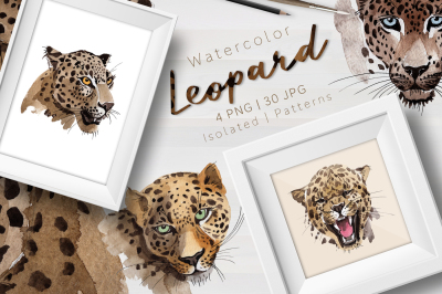 Leopard PNG watercolor set