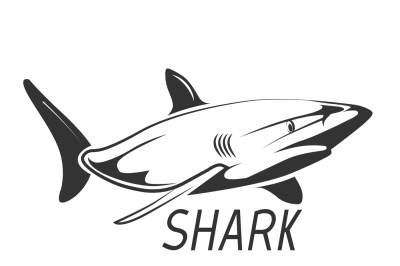 Shark logo in black isolated on white