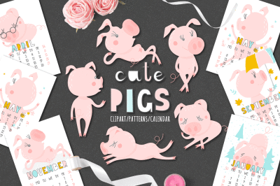 Cute Pigs Calendar 2019