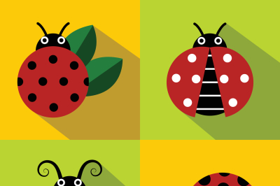 Ladybug icons in flat style on color background