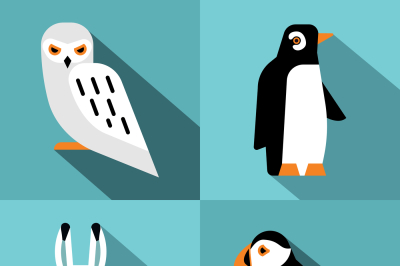 Polar animals in flat style with long shadow