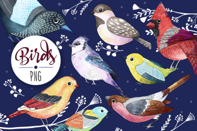 BIRDS (watercolor elements)
