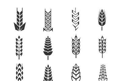 Wheat ears vector icons