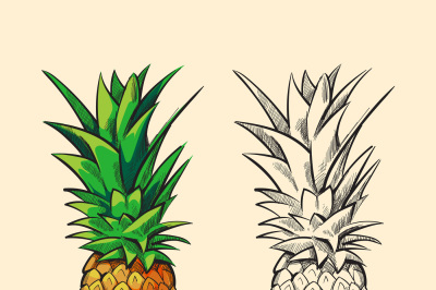 Outline pineapple and color cartoon vector illustration