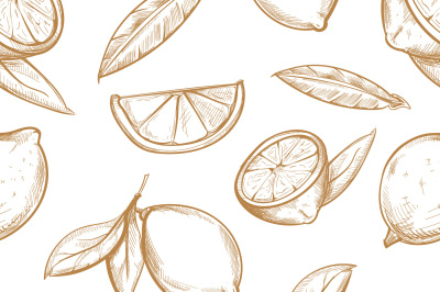 Vector seamless pattern with hand drawn lemons branch, lemon blossom, 