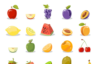 Vector fruits and slices collection